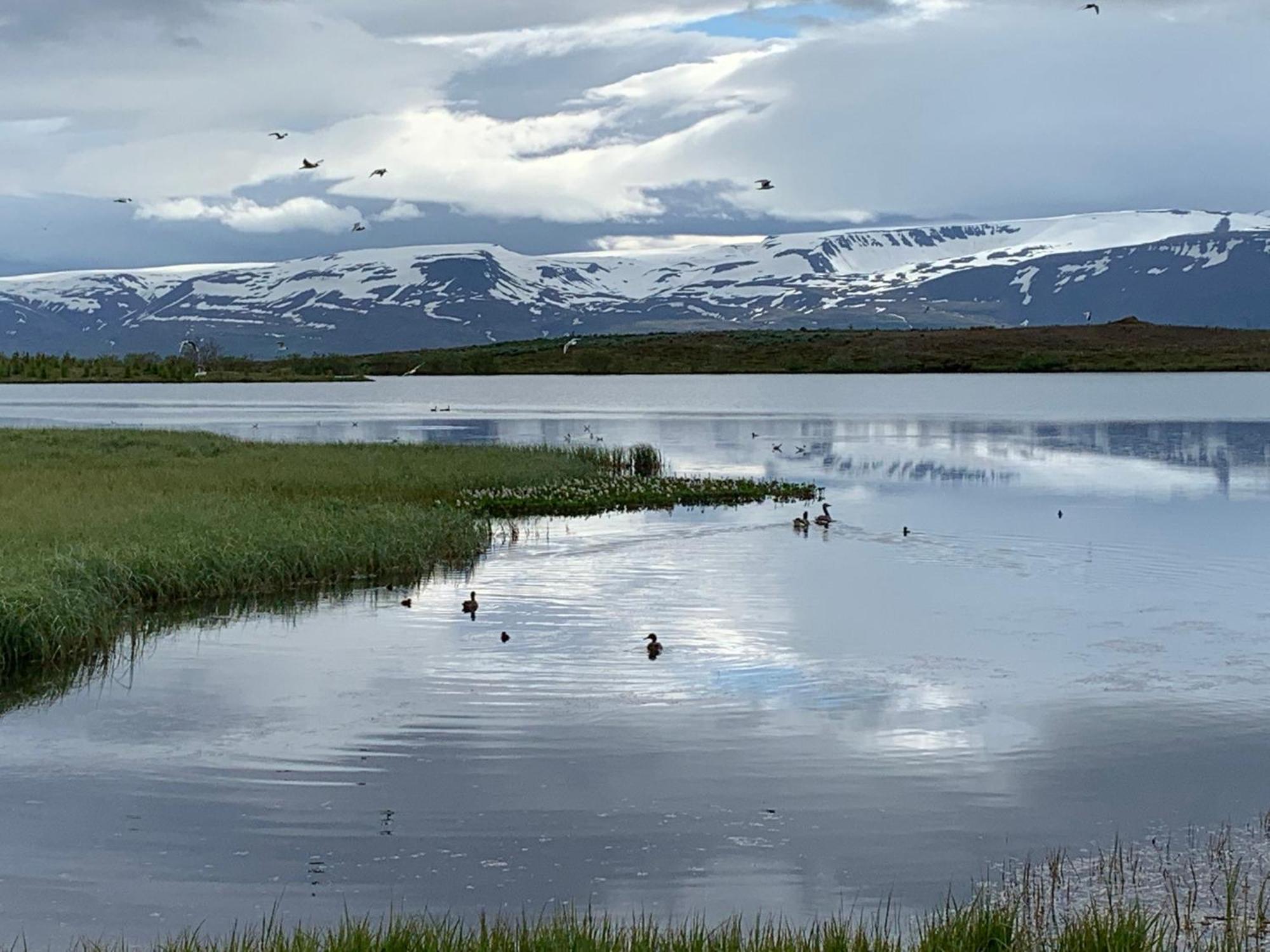 Kaldbaks-Kot Cottages Húsavík 外观 照片