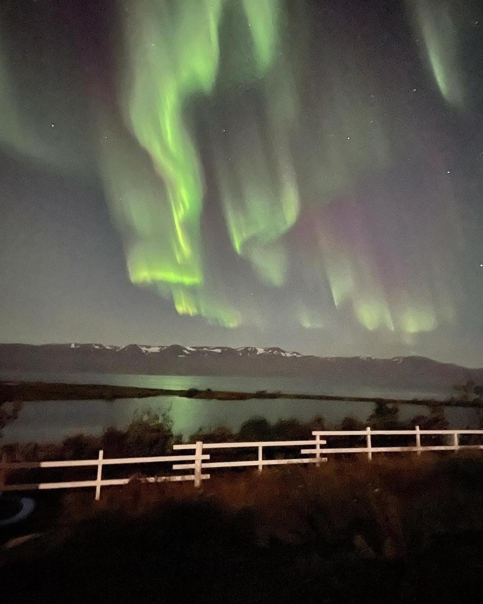Kaldbaks-Kot Cottages Húsavík 外观 照片