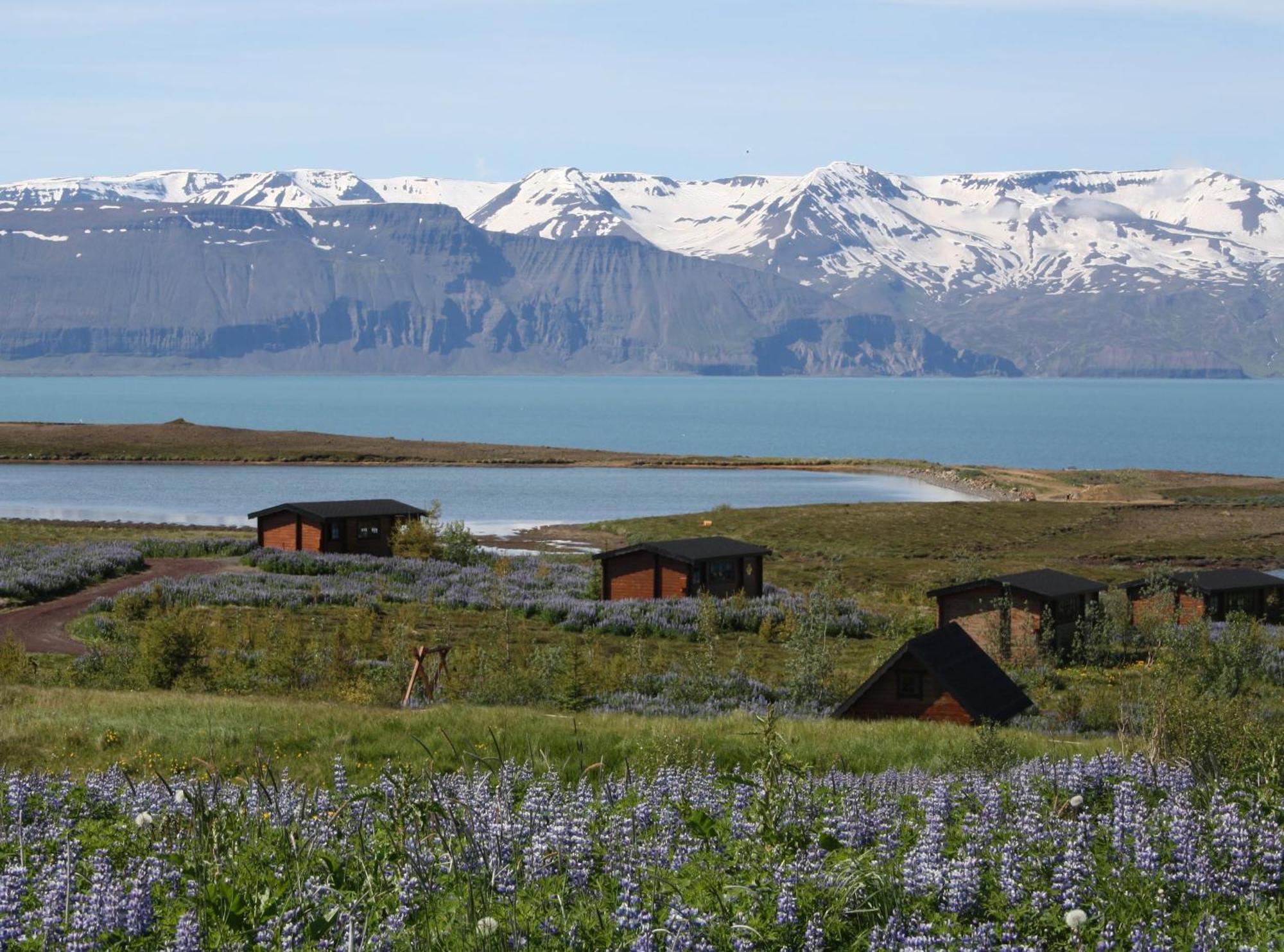 Kaldbaks-Kot Cottages Húsavík 外观 照片